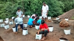 മലപ്പുറം:-    മട്ടുപ്പാവിൽ കൃഷിയൊരുക്കി പൂവത്താണി എ.എം.യു.പി. സ്‌കൂൾ